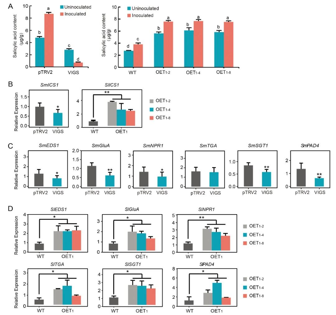 Advancements in Protein lipidation Research